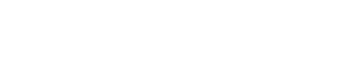 SFN Emploi logo: An icon featuring a silhouette of a person in a suit on the left, followed by the bold red text 'SFN EMPLOI' with a white dot and '.COM'
